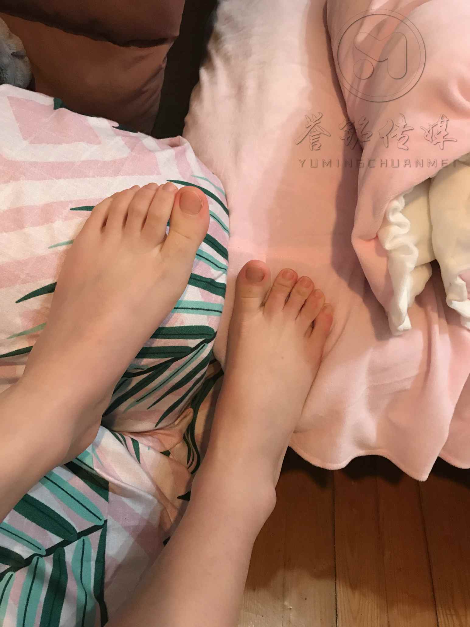 【网盘】誉铭摄影《2019-第04期作品》