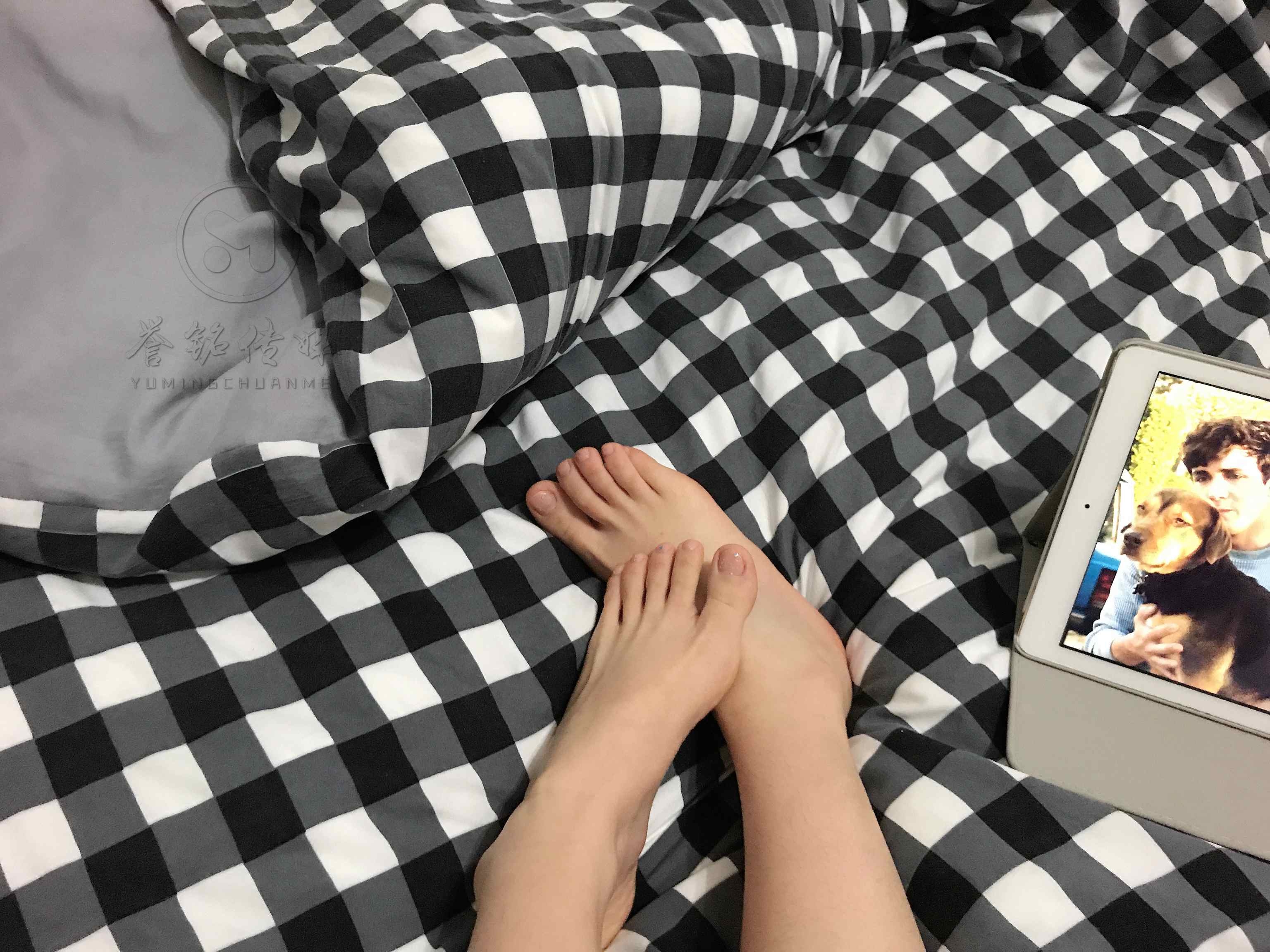 【网盘】誉铭摄影《2019-第22期作品》