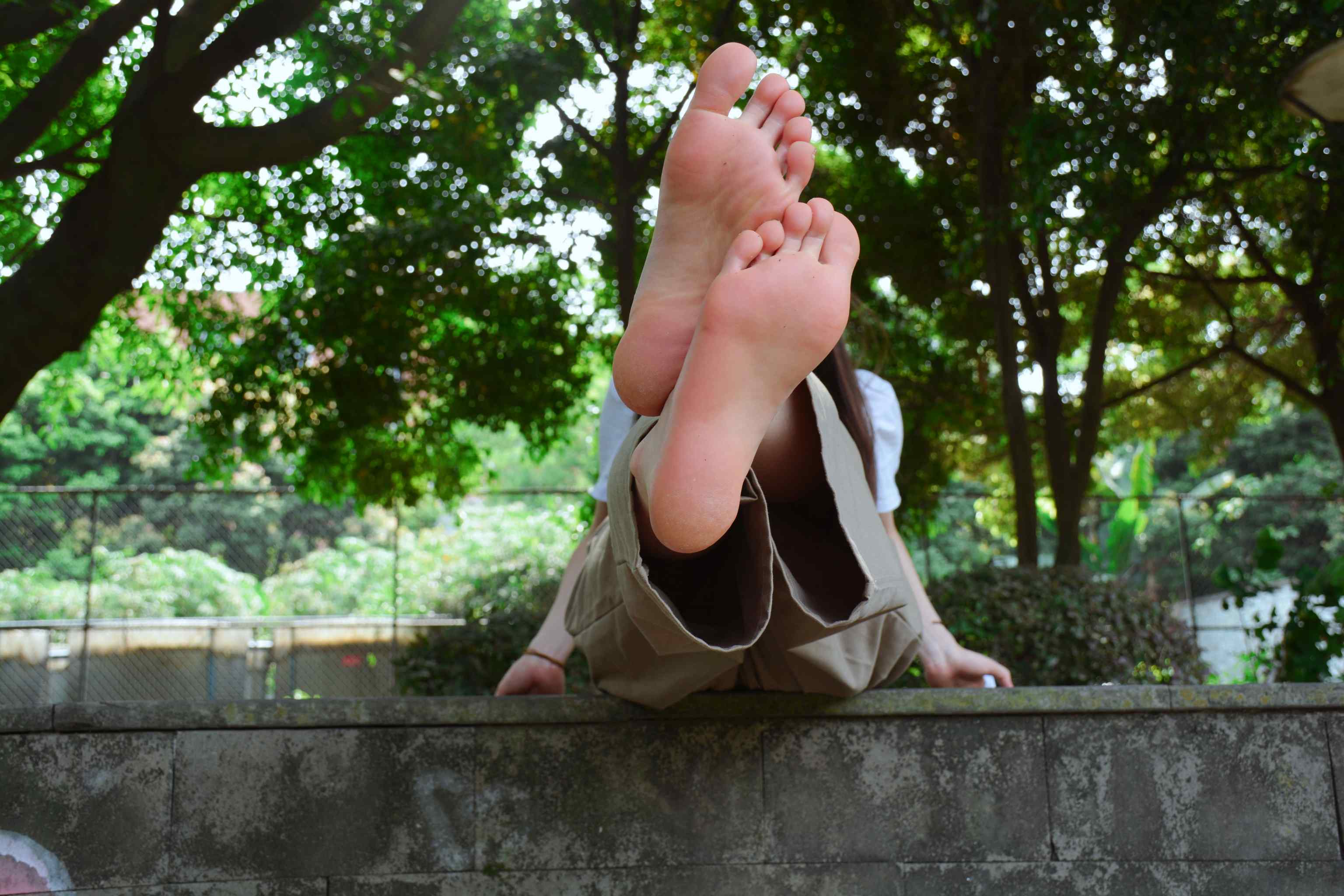 【网盘】[织梦映像]校园游记-春花秋月何时了