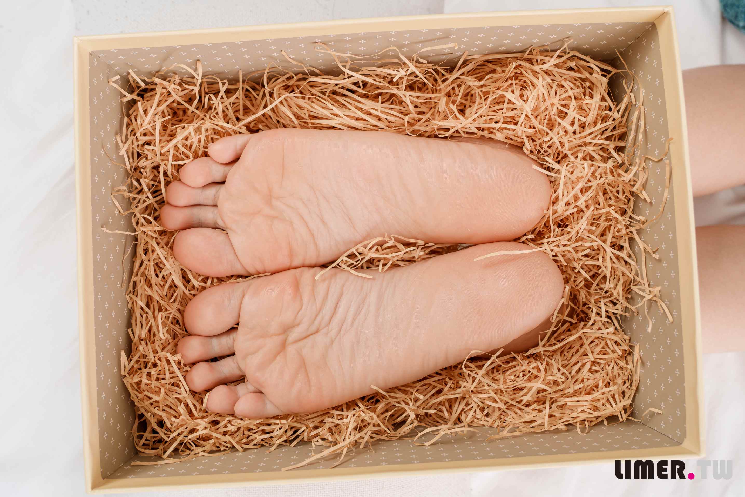 【网盘】[Limerence]EJ生日特辑脚脚蛋糕足盒