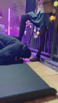 【网盘】【雪莉】cos麻衣学姐tj狗 bf6519