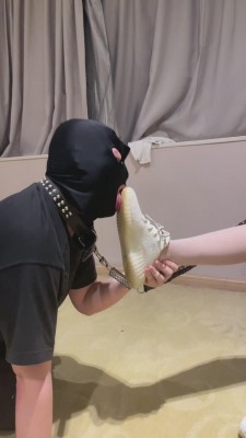 【网盘】【关关】御姐椰子鞋白丝羞辱奶狗 bf8856