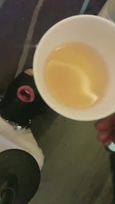 【网盘】【C皇】白领黑丝恋足调 bf10302