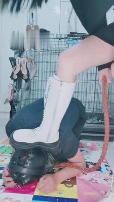 【网盘】【冷酷狗】长靴/高跟狠踹狗 bf10689