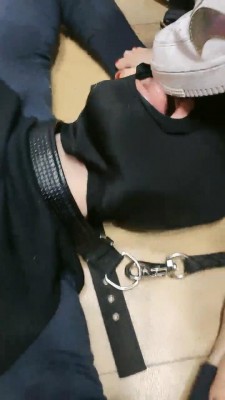 【网盘】【青岛00后大学生】学生情侣主第一次调乖狗狗 bf11348