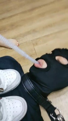 【网盘】【青岛00后大学生】学生情侣主第一次调乖狗狗 bf11348