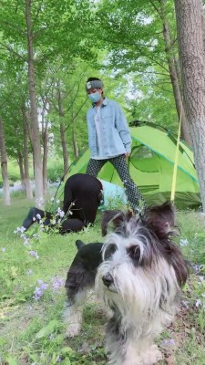 【网盘】【美离子】户外营地训练场调教 bf11483