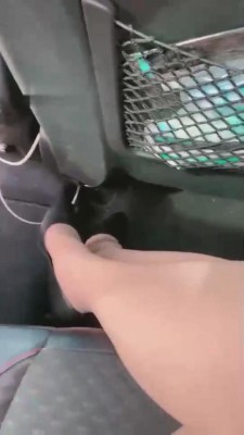 【网盘】【暴力美学】户外开发-随机玩个司机 bf11529