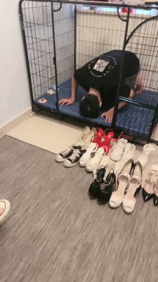 【网盘】【安静大大】母女S耳光/踩踏/舔鞋【三视角版】 bf19913