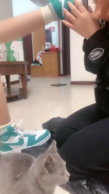 【网盘】【全国最贱女M】双女奴舔脚专场【完整版】 bf20379