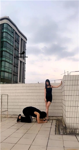 【网盘】【Fiona菲菲】天台调教尾随狗 bf21488