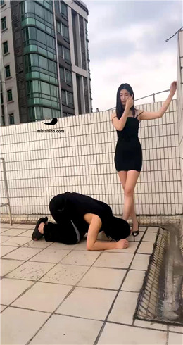 【网盘】【Fiona菲菲】天台调教尾随狗 bf21488