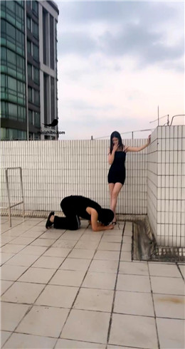 【网盘】【Fiona菲菲】天台调教尾随狗 bf21488