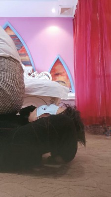 【网盘】【嗯哼】长靴辱狗 bf22816