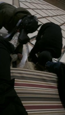 【网盘】【桃幼幼】学生主户外溜双狗 bf23005