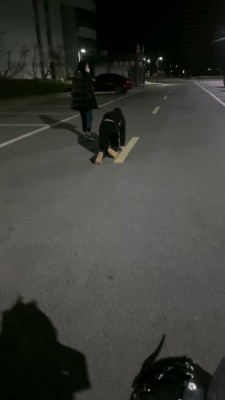 【网盘】【桃幼幼】学生主户外溜双狗 bf23005