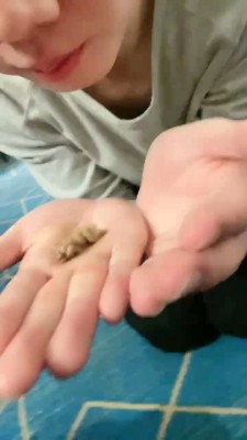 【网盘】【奈奈生】绿帽贱货跪求圣水+口水 bf23223