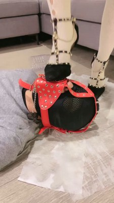 【网盘】【小劳拉】超重口-强制开口器喂脏水口水呕吐物 bf23376