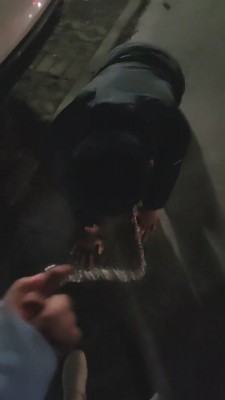 【网盘】【嫦娥】深夜户外犬化-转胯爬行/长靴踩踏碾压 JS23040902