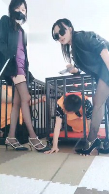 【网盘】【媚娘S】姐妹狗笼圈养双狗-全体重踩踏【双视角版】 JS23051706