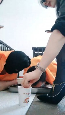 【网盘】【媚娘S】姐妹狗笼圈养双狗-全体重踩踏【双视角版】 JS23051706