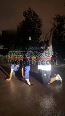 【网盘】【辣姐】户外溜双狗-脏鞋底喂食/耳光/骑马/磕头求饶 bf32230