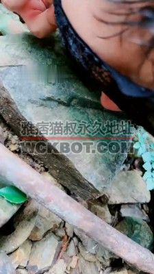 【网盘】【陈莹斯】剧情-网约车司机的噩梦【下】 bf33338