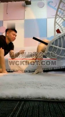 【网盘】【甜味药丸】耳光打哭狗/舔鞋/圣水泡面 bf33637