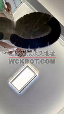 【网盘】【狗哥】绿帽老公专场 bf33782