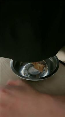 【网盘】【2024-11-04】【cici】男女主双调-伺候用餐吃剩饭 JS241023-25