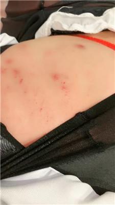 【网盘】【2024-11-04】【若依】长靴踩踏/五花大绑/重度鞭打 JS241027-13