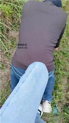 【网盘】【2024-11-04】【红颜】户外调-胯下辱舔脏鞋/白袜气味辱【完整版】JS241028-47