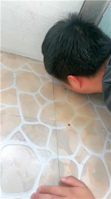 【网盘】【2024-11-26】【佳佳】裸足蹂躏/碾压狗爪/圣水泡面 bf46818