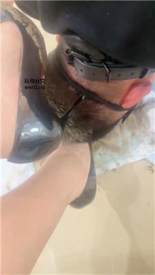 【网盘】【2024-11-28】【Joy】捆绑-清理超脏泥巴鞋底/中指鄙视 JS241112-24