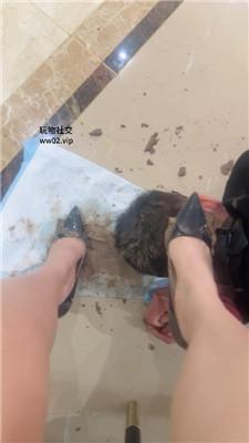 【网盘】【2024-11-28】【Joy】捆绑-清理超脏泥巴鞋底/中指鄙视 JS241112-24