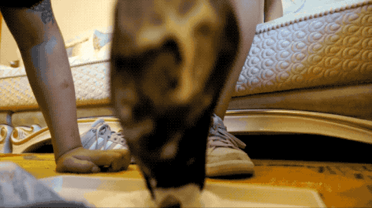 【网盘】希雨运动鞋船袜裸足喂食