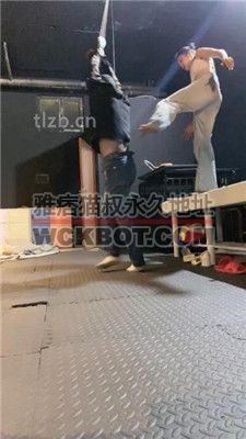 【网盘】 bf34130