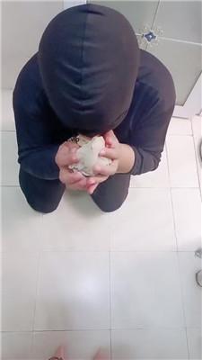 【网盘】【美柠】嘴洗丝袜/喝圣水/吃厕纸 bf46738