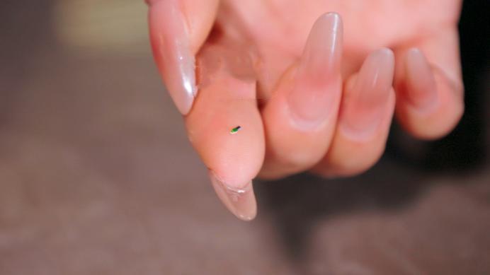 【网盘】【明视界】班主任的惩罚 ACYC-3771