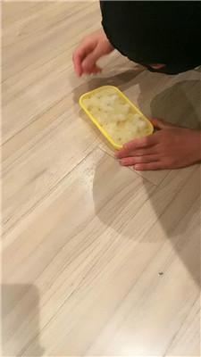 【网盘】【魅儿】脚垫的奖励-圣水泡饭喂食 bf46305