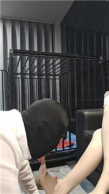 【网盘】【陶拉大人】红高跟丝袜恋足调 JS241028-12