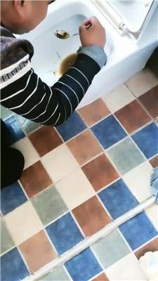 【网盘】【灵汐】清晨伺候主子起床-舔马桶喝漱口水 JS241028-41