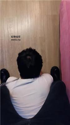 【网盘】【诗诗】骑马骑脖/白袜脚蹂躏 bf46539