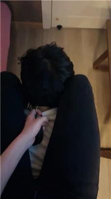 【网盘】【诗诗】骑马骑脖/白袜脚蹂躏 bf46539