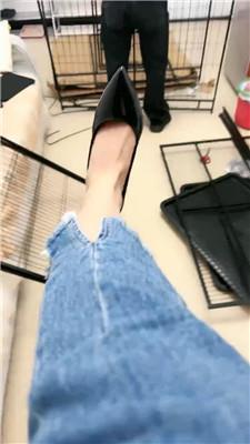 【网盘】【佳佳】组装狗笼奖励粉鞋白袜踩踏 JS241108-22