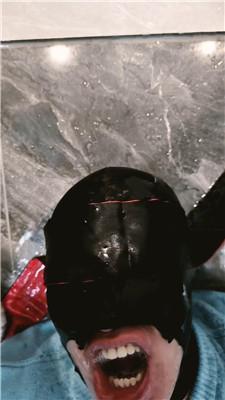 【网盘】【芮兮夫妻】舌头鞋刷/靴子黑丝脚插嘴 JS241108-1