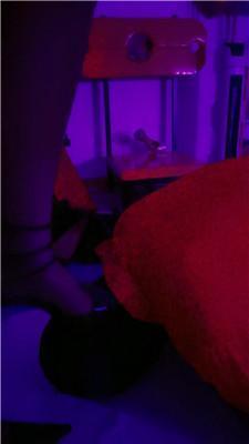 【网盘】【姬婷】暗黑刑房-长靴黑丝高跟虐 JS241108-31