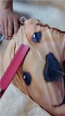 【网盘】【柠檬】贱狗就喜欢吸吮白嫩的脚指头 JS241112-50