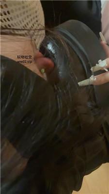 【网盘】【安曼】母畜-近距离舔脏鞋肉丝jio JS241112-51