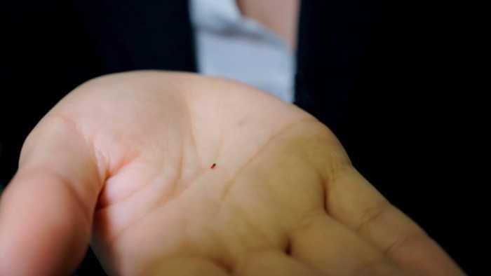 【网盘】【明视界】班主任的惩罚 ACYC-3771